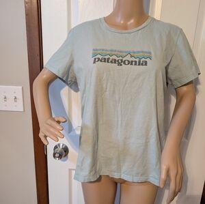Patagonia Light Green/Blue Front Logo Tee- Medium
